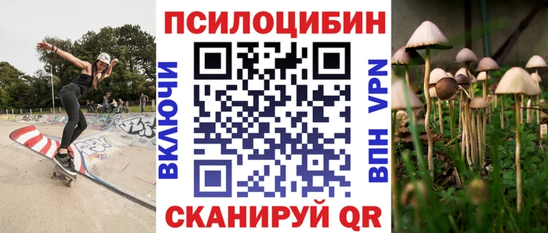 наркота  Юрьев-Польский  Псилоцибиновые грибы Cubensis 