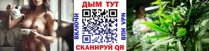 Шишки марихуана марихуана  Юрьев-Польский 